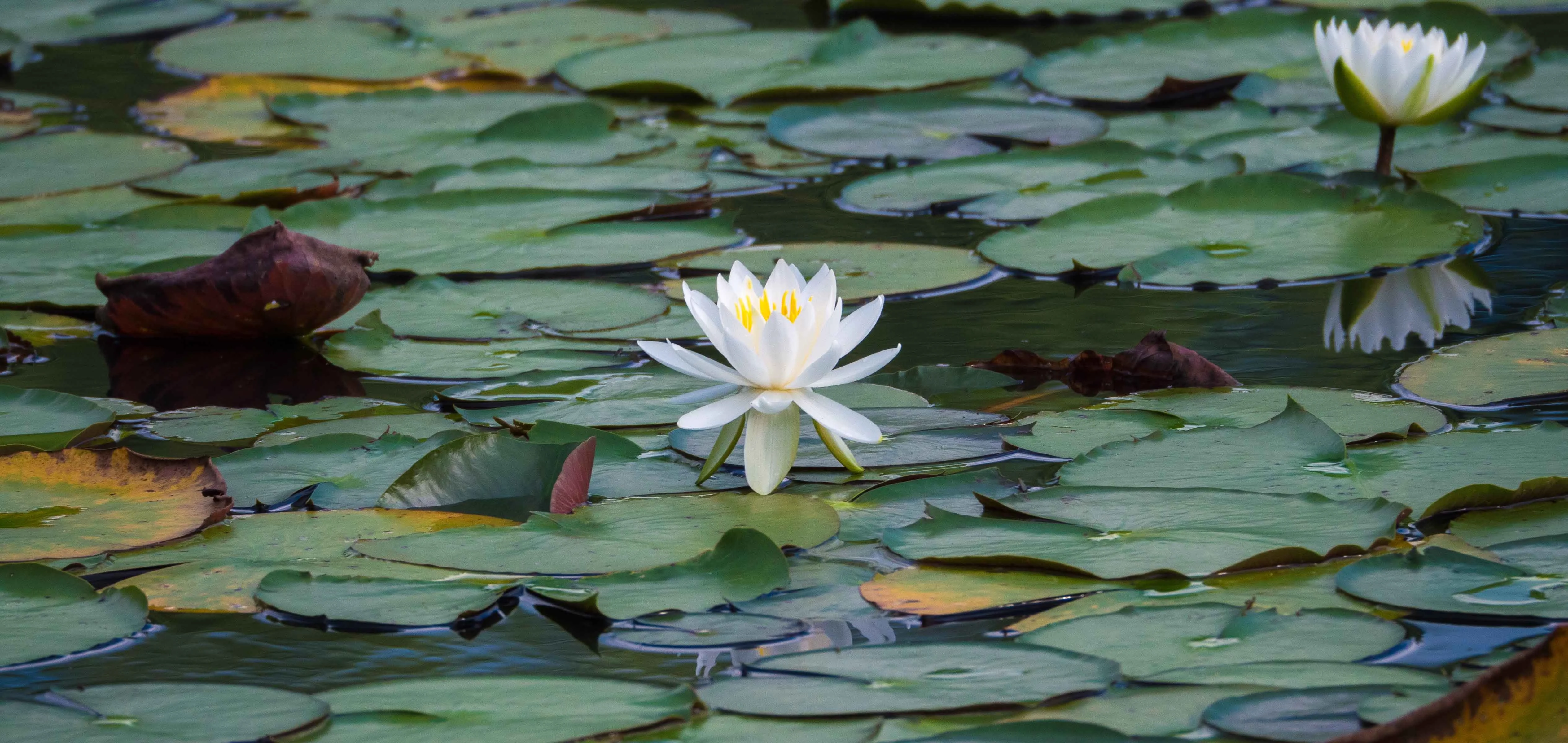 %%title%% %%page%% [Quit Porn at the Source]