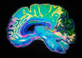 %%title%% %%page%% %%sep%%