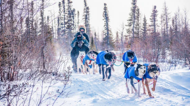 Holiday stress and porn triggers: 7 ways to cope